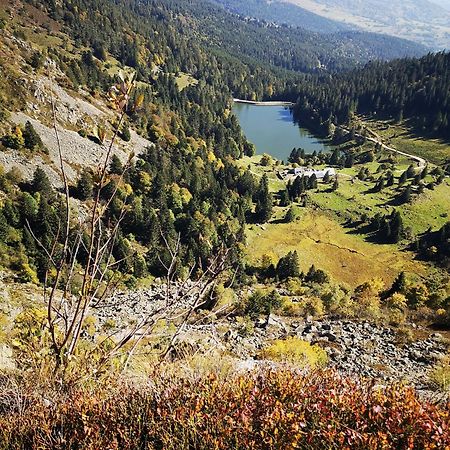 Chene Rouge Villa Lapoutroie Exteriör bild