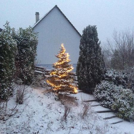 Chene Rouge Villa Lapoutroie Exteriör bild