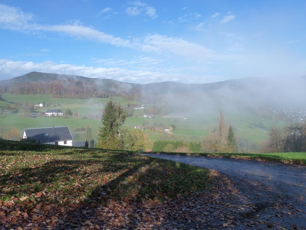 Chene Rouge Villa Lapoutroie Rum bild