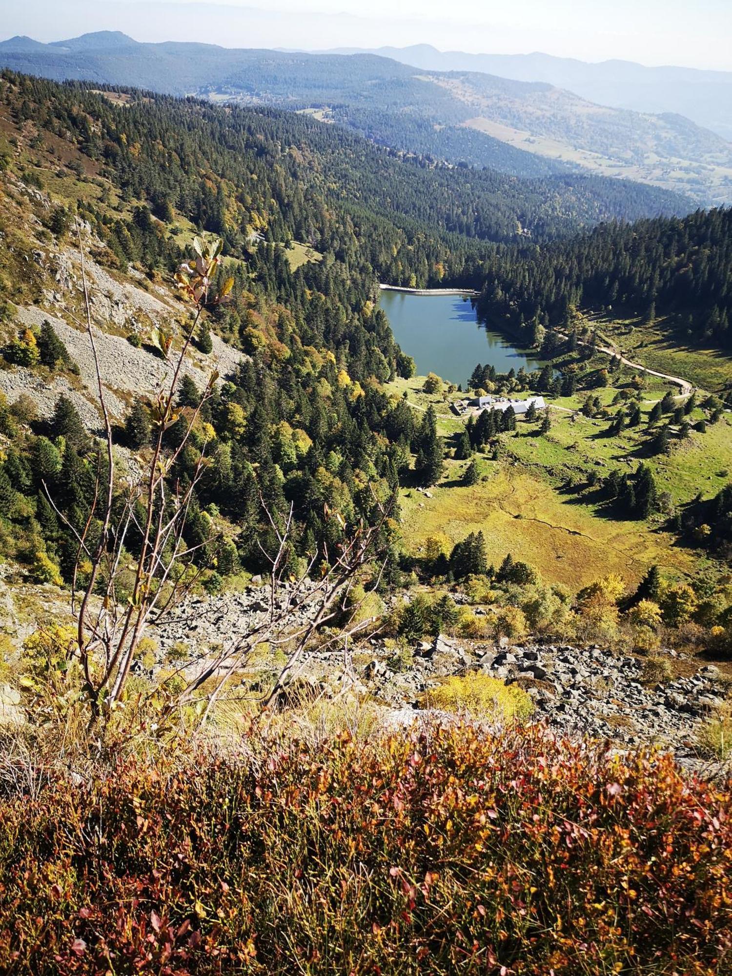 Chene Rouge Villa Lapoutroie Exteriör bild