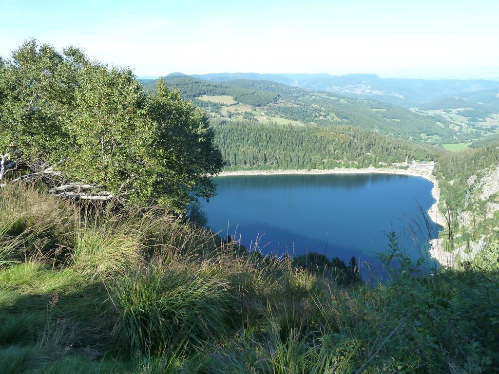 Chene Rouge Villa Lapoutroie Exteriör bild